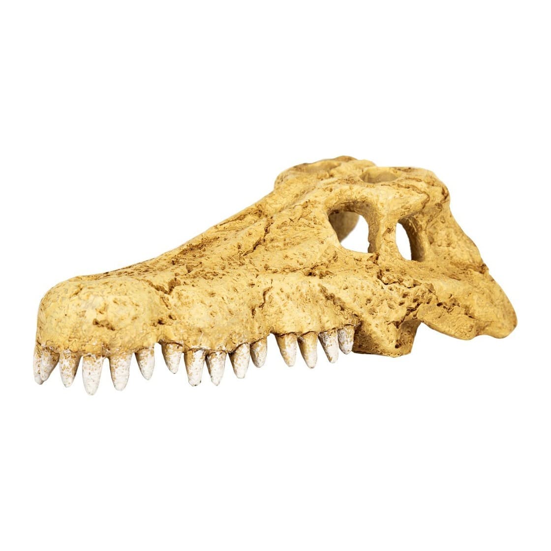 Repti-Zoo Crocodile Skull S Decoration