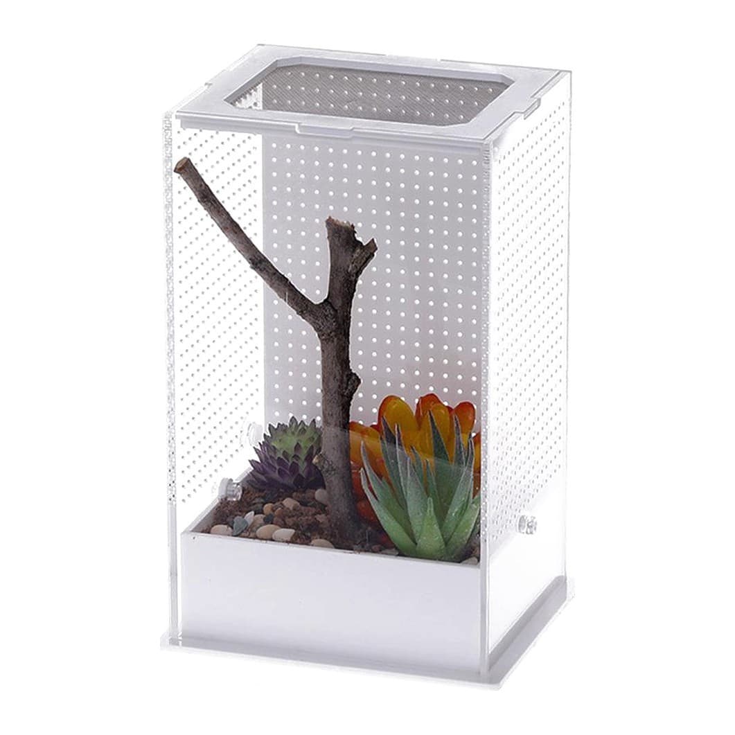 Repti-Zoo Mantis Box L akrüülterraarium palvetajaritsikatele