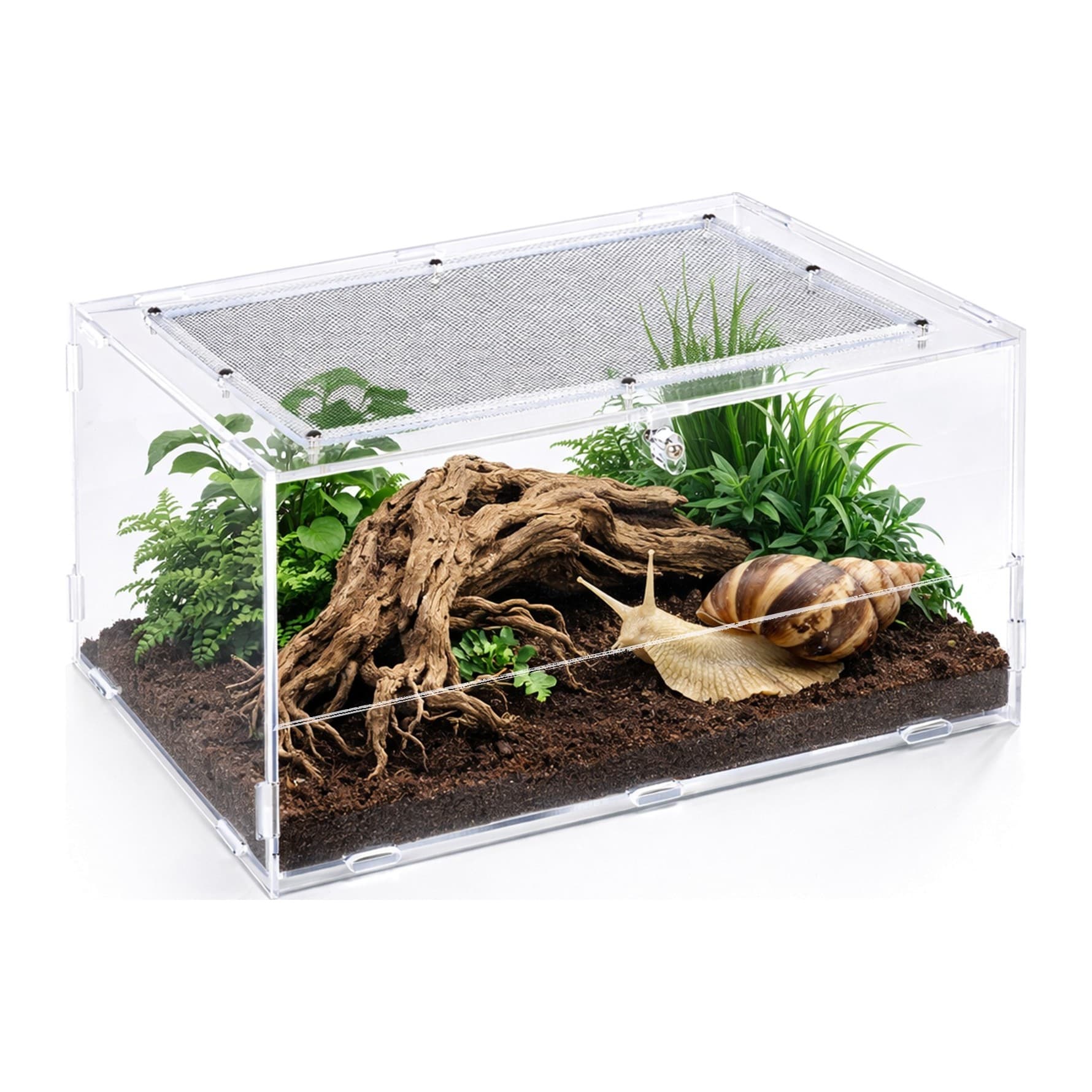Repti-Zoo PACR88 Acrylic Terrarium 300 × 200 × 155 mm