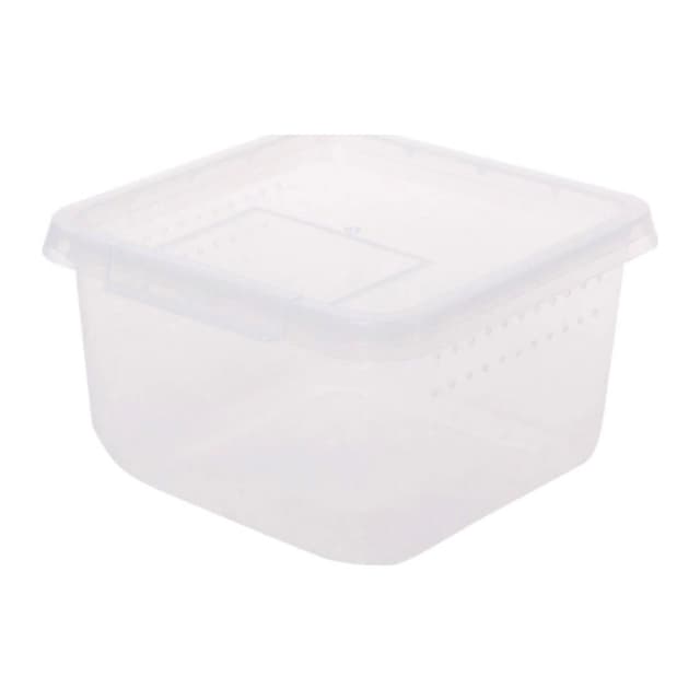 Terrario Insect Box Compact Plastic Insect Terrarium, 12 x 12 x 7 cm