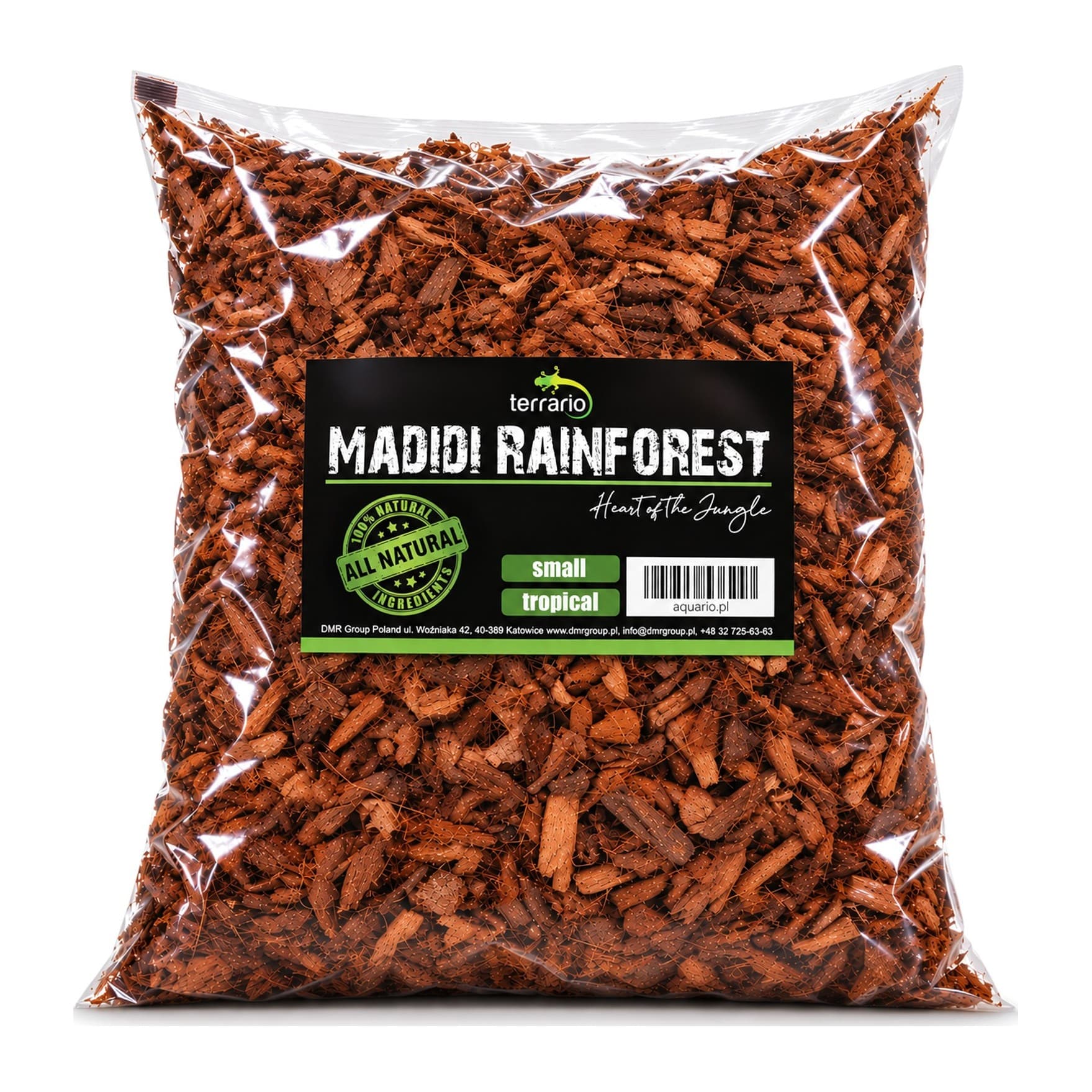 Terrario Madidi Rainforest peen kookospinnas