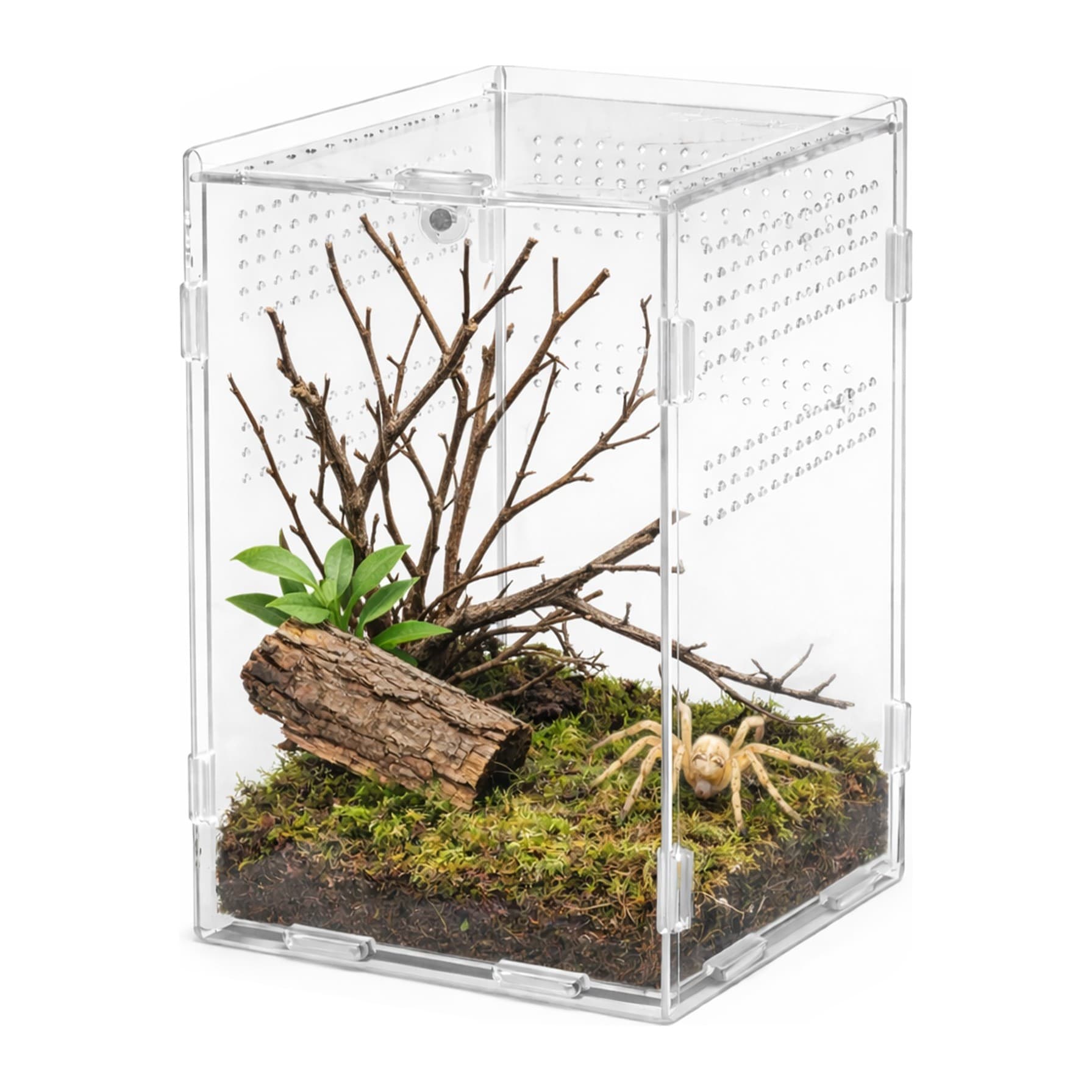 Terrario MicroAir Hab magnetlukuga akrüülterraarium