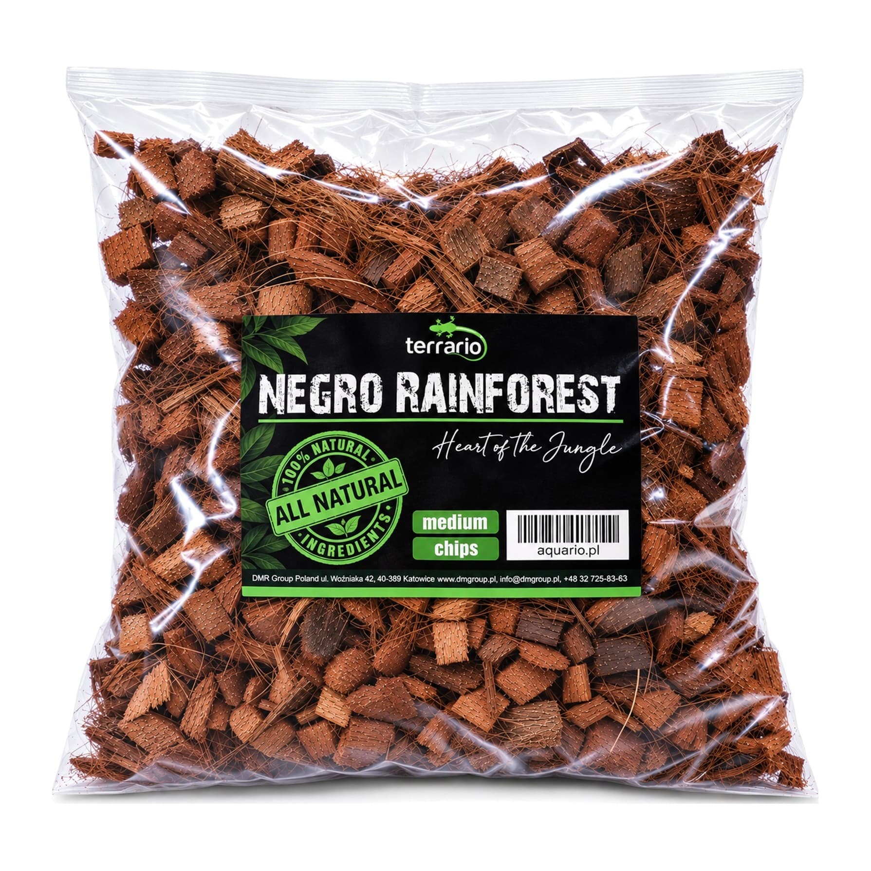Terrario Negro Rainforest kookoshakke allapanu