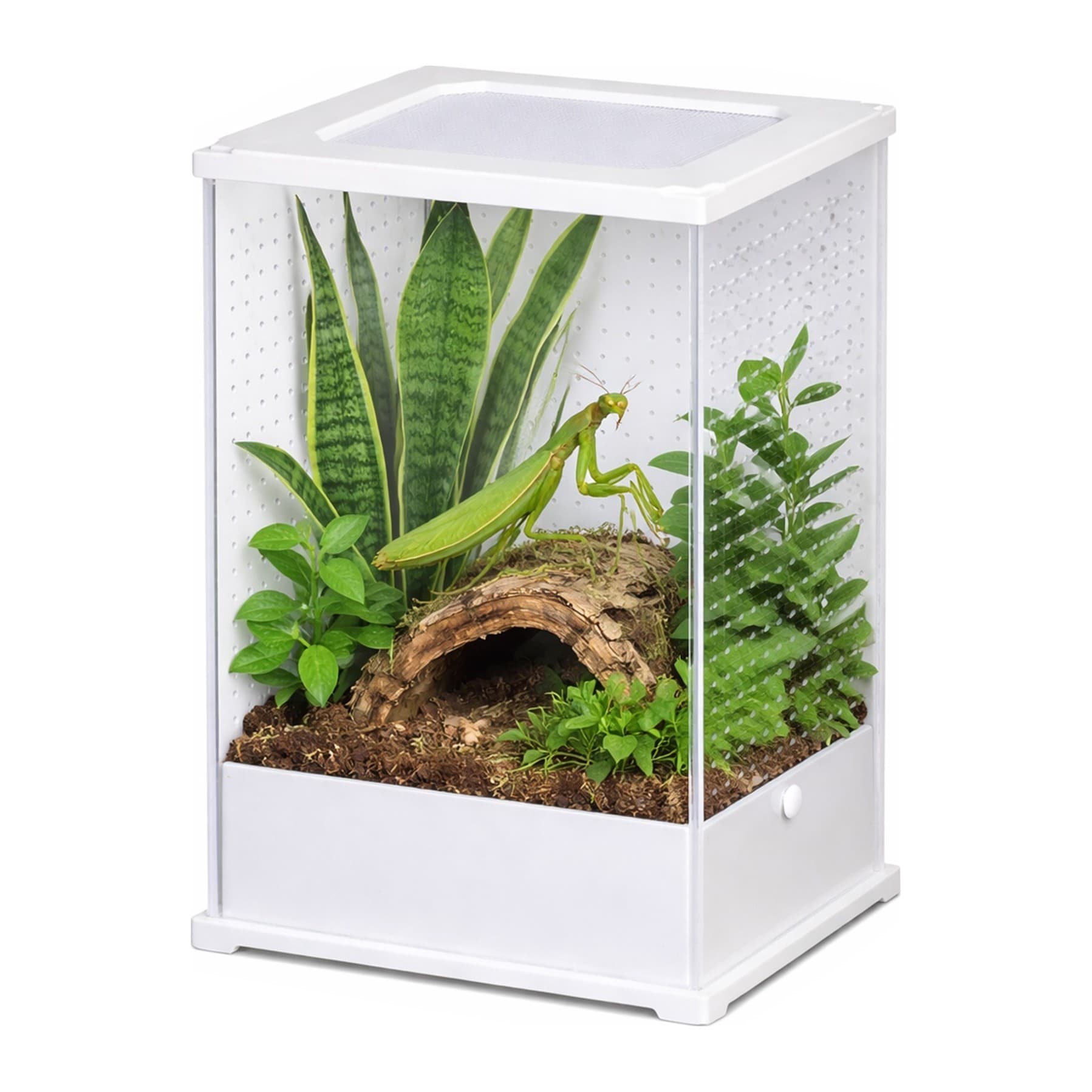 Terrario TerraLoom M akrüülterraarium, 10 x 8,5 x 15 cm