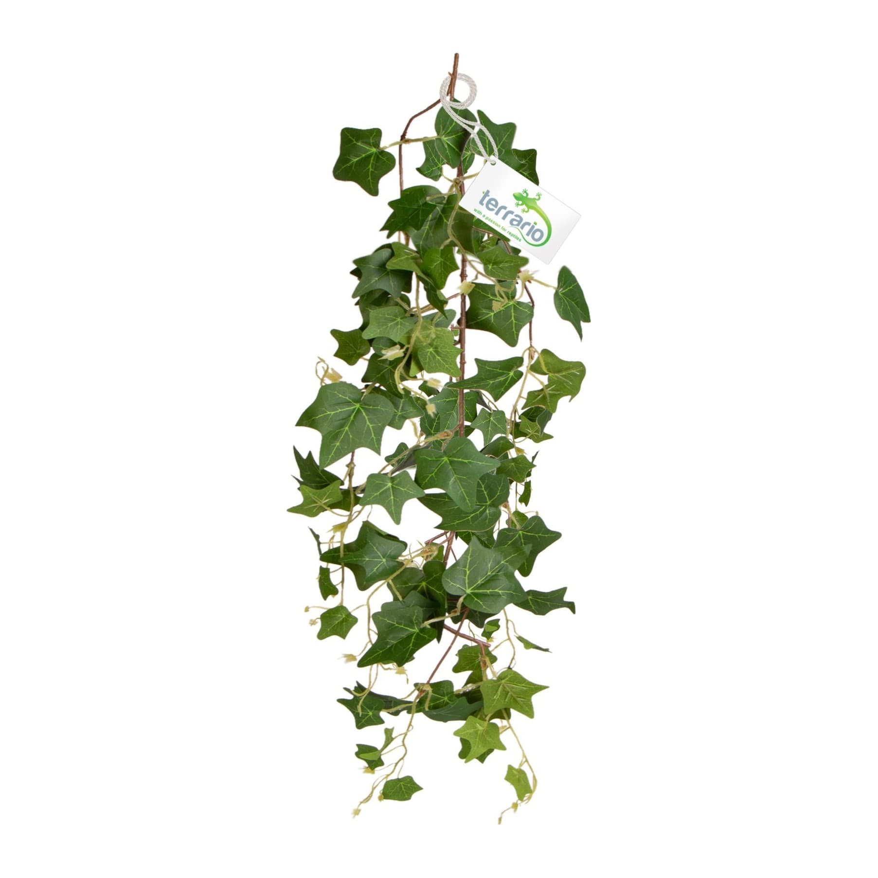 Terrario rippuv luuderohi, tehistaim, 75 cm
