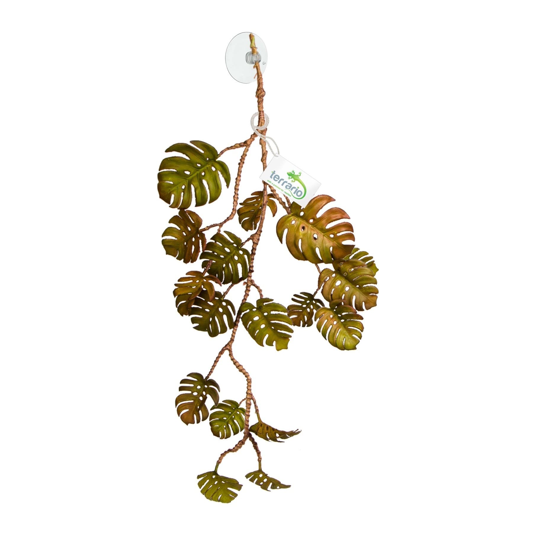 Terrario rippuv monstera, tehistaim, 50 x 7 x 70 cm