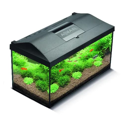AquaEL AQUARIUM SET LEDDY 60 BLACK D&N 2.0