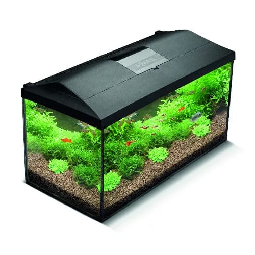 AquaEL AQUARIUM SET LEDDY 75 BLACK D&N 2.0