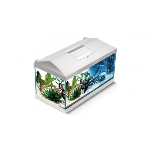 AquaEL Aquarium Set Leddy D&N