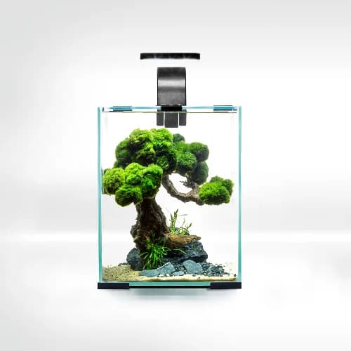 AquaEL SHRIMP SET SMART D&N 10 BLACK