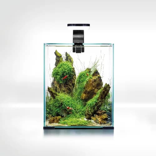 AquaEL SHRIMP SET SMART D&N 20 BLACK