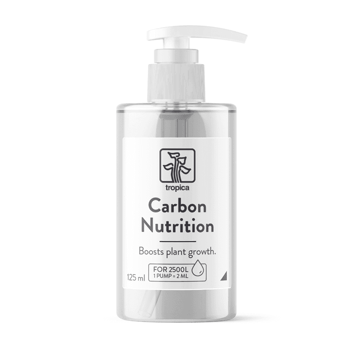 Carbon Nutrition