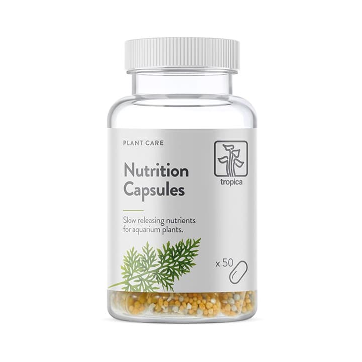 Nutrition Capsules 3 pcs.