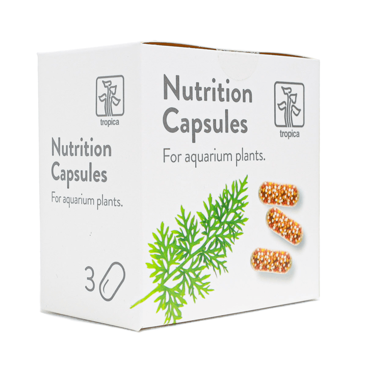 Nutrition Capsules 3 pcs.